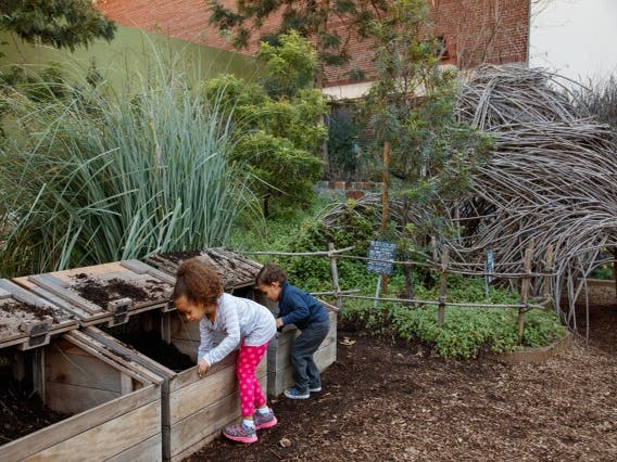 Get Dirty Zone in the Nature Gardens at the Natural History Museum
