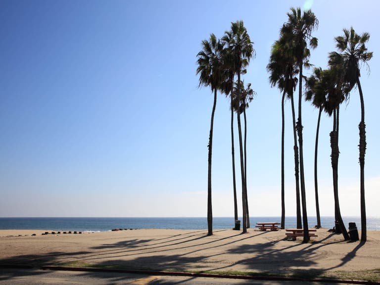 Palm trees at Cabrillo Beach in San Pedro - los angeles locations