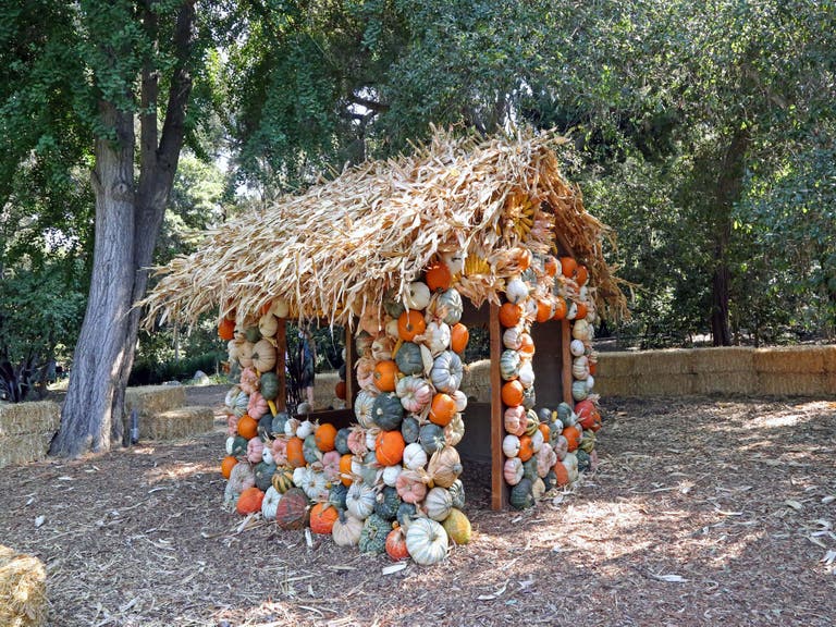 The Halloween Pumpkin House at Descanso Gardens