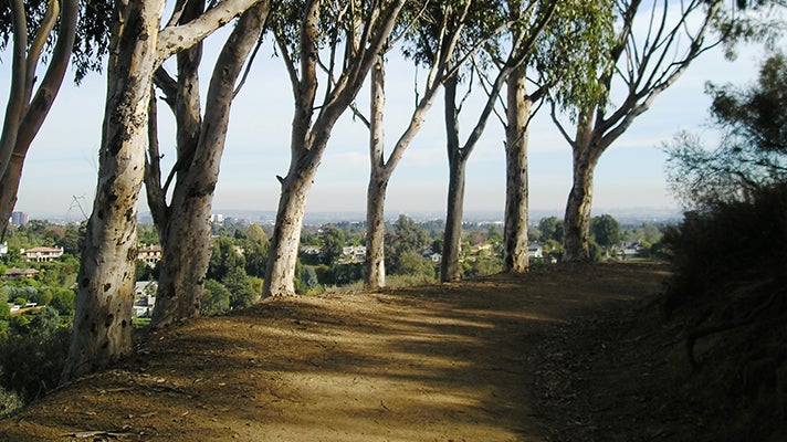 Will Rogers Park