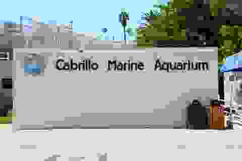 Cabrillo Marine Aquarium 1