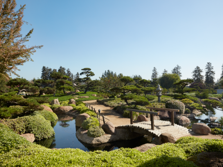 Japanese Garden 1