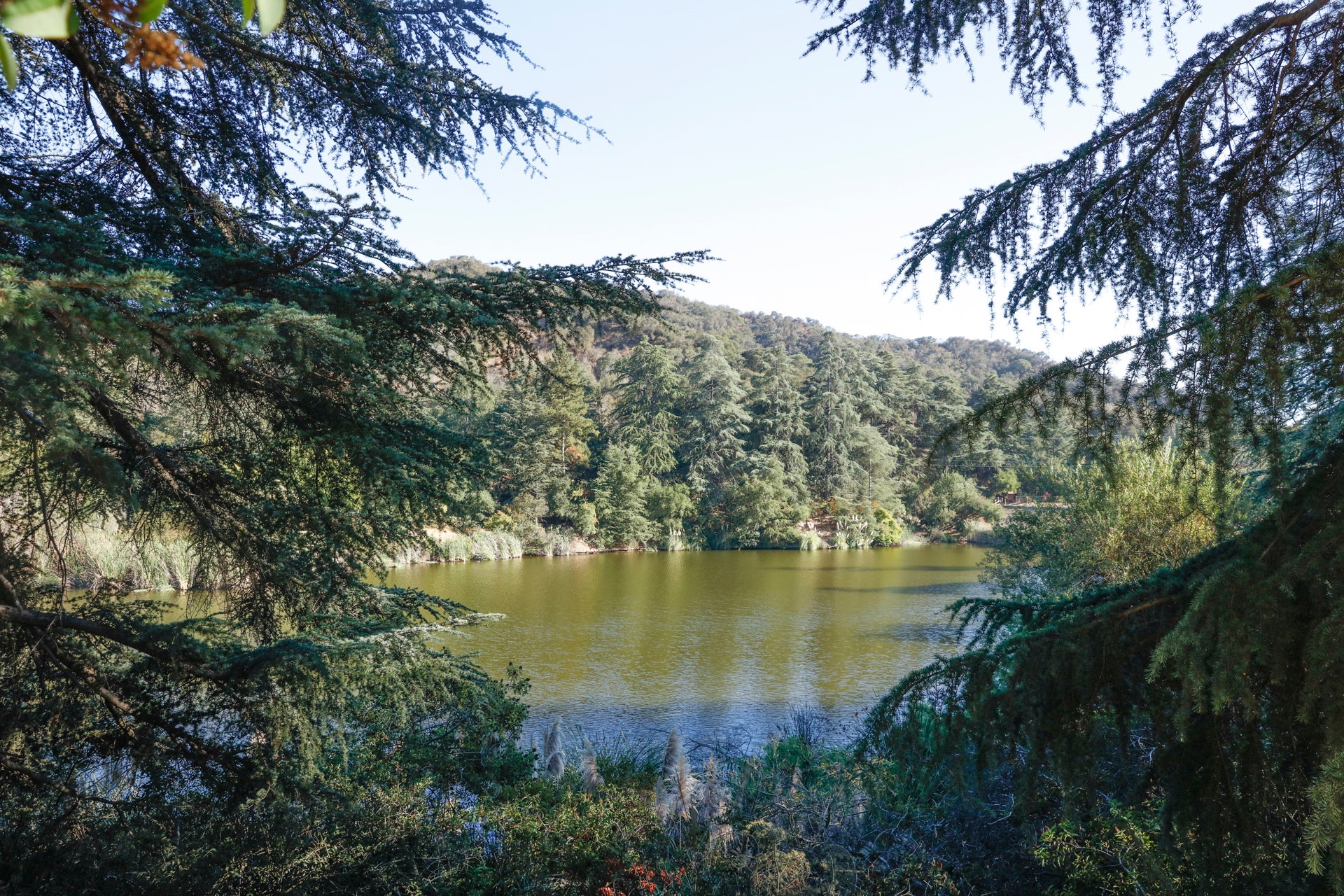 Franklin Canyon