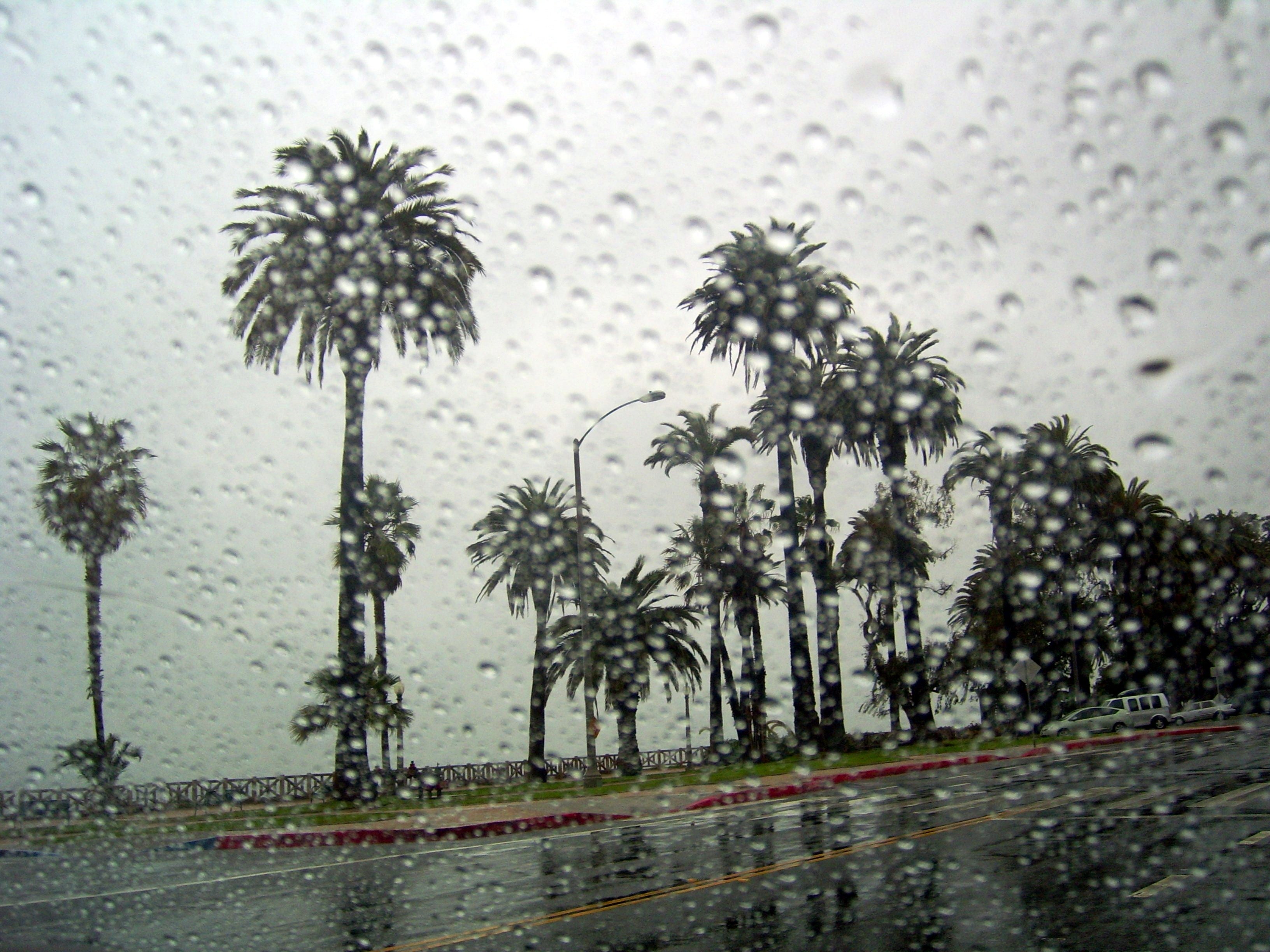 The Best Things to Do in LA On a Rainy Day: Culture