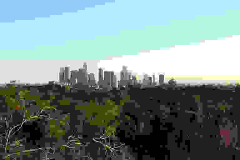 Downtown LA view from Elysian Park