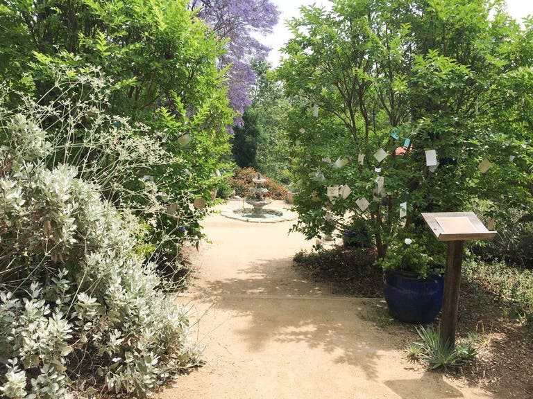 Wish Trees at Arlington Garden in Pasadena