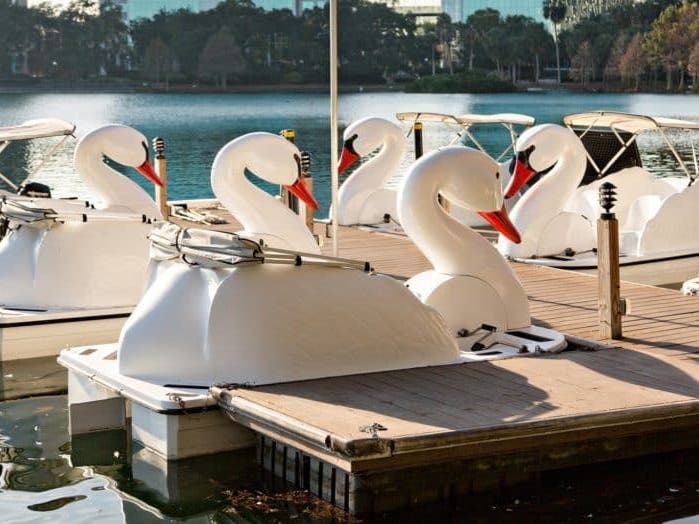 Echo Park Lake Swan Boats