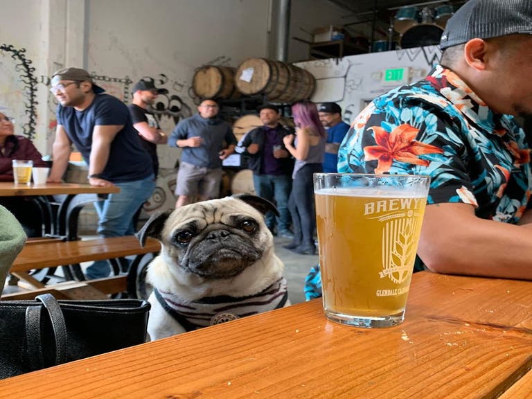 Brewyard Beer Company pug