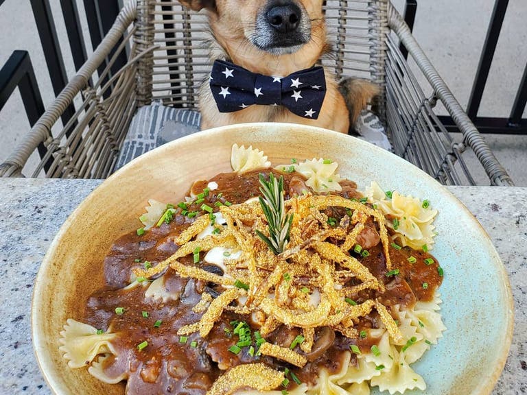 Pooch and pasta on the patio at Granville Pasadena