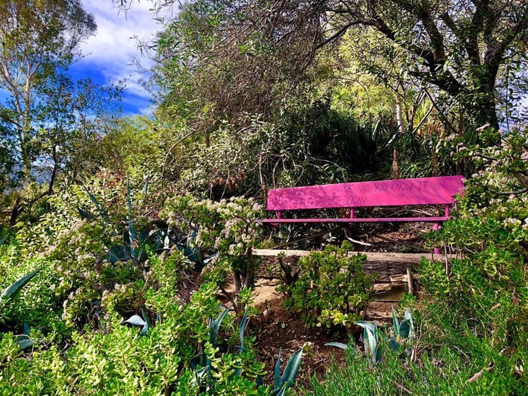 Pink bench hidden inside Amir's Garden in Griffith Park