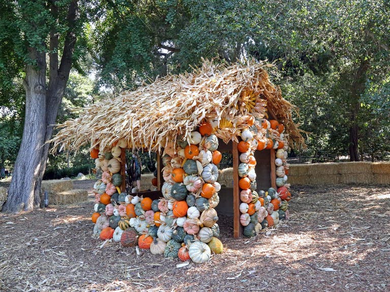 The Halloween Pumpkin House at Descanso Gardens
