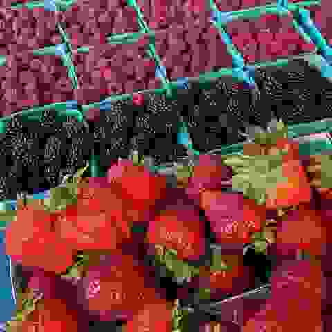 Berries from Gutierrez Farm at the South Pasadena Farmers' Market