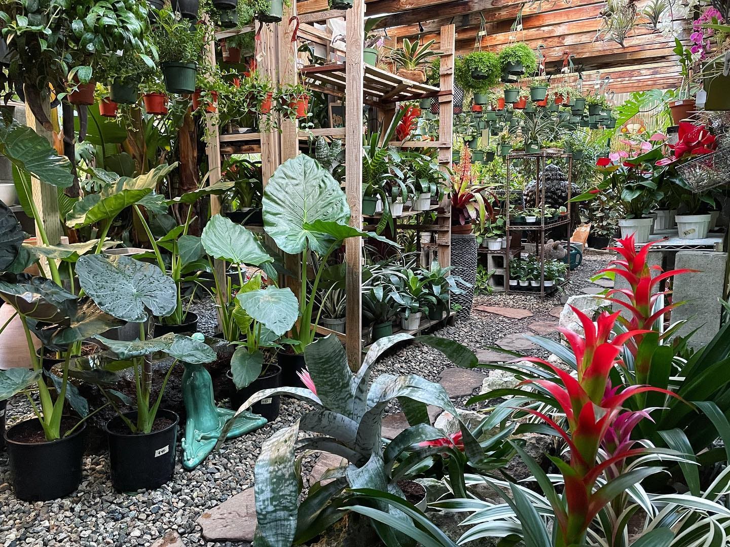 The Guide to Los Angeles for Plant Parents | Discover Los Angeles