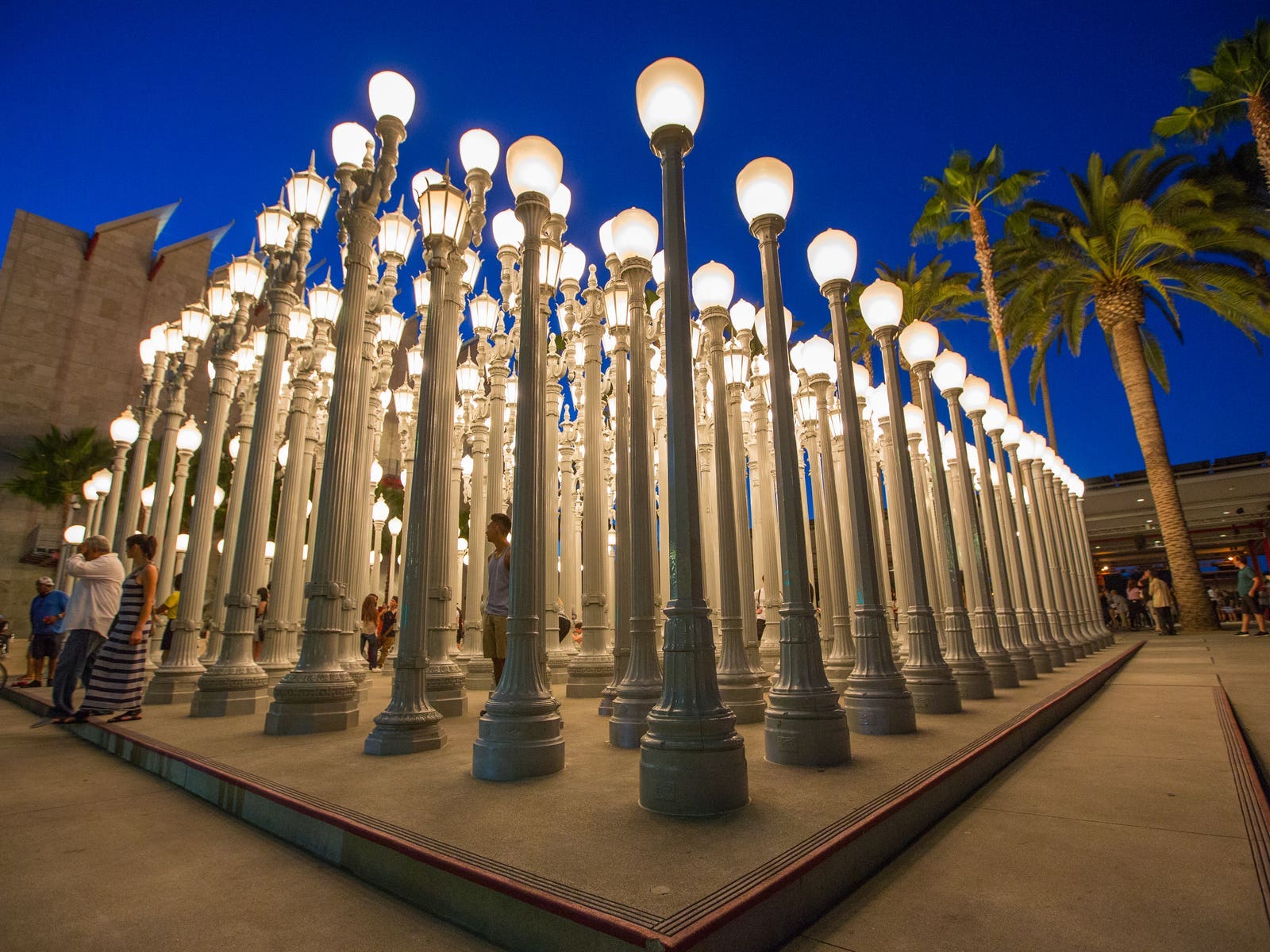 The Top 10 Must Sees at LACMA | Discover Los Angeles