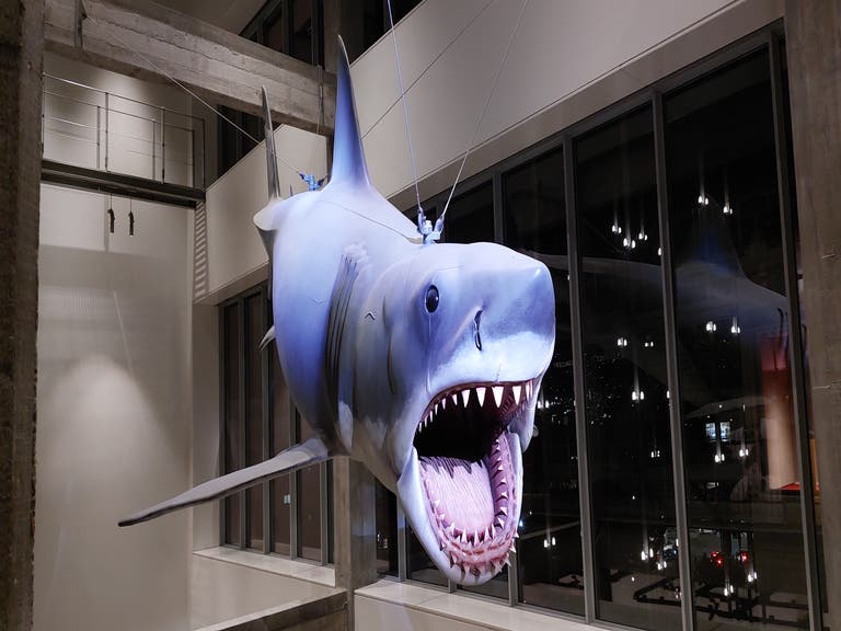 Academy Museum of Motion Pictures Shark