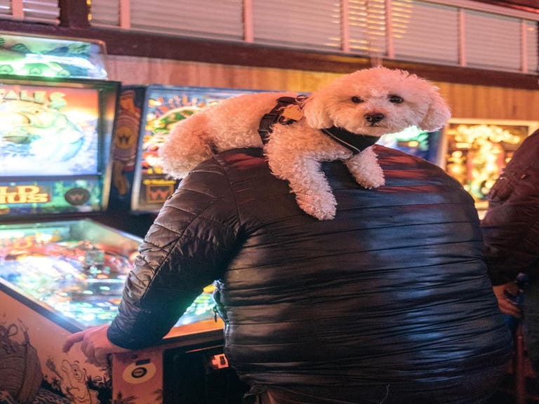 Owner with dog playing pinball at Walt's Bar in Eagle Rock