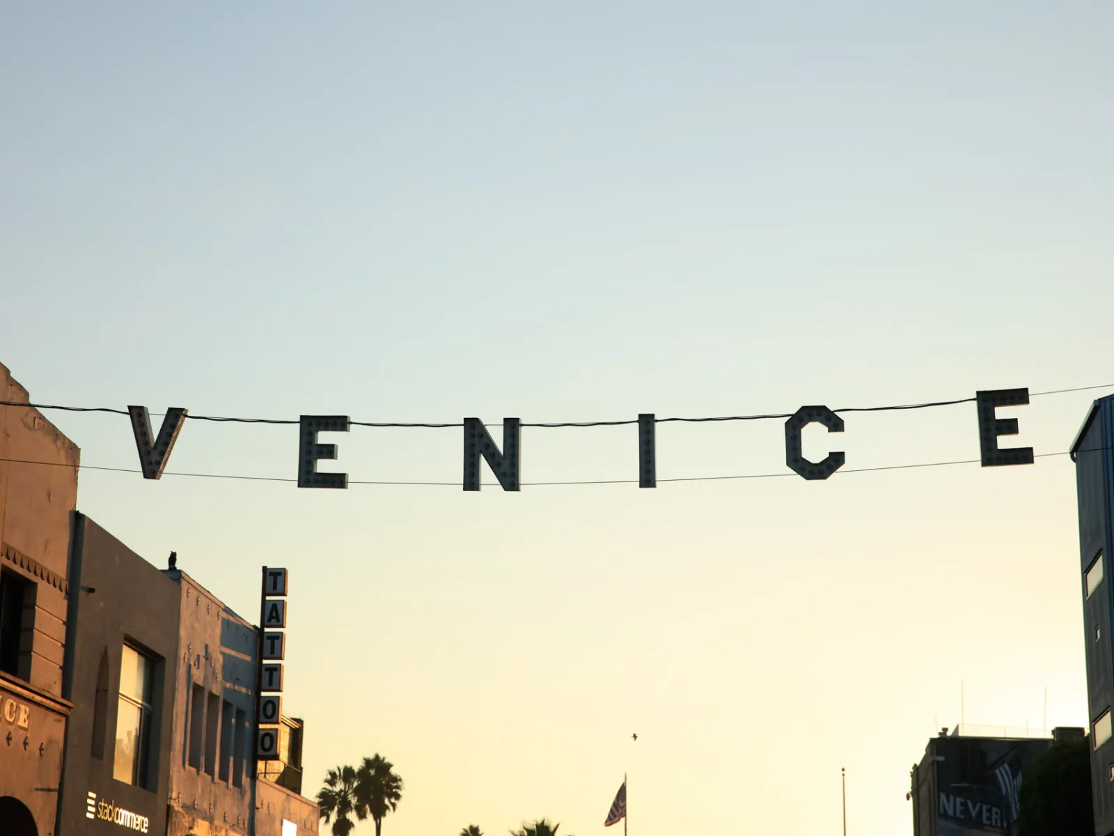 Things to Do in Venice, California | Discover Los Angeles
