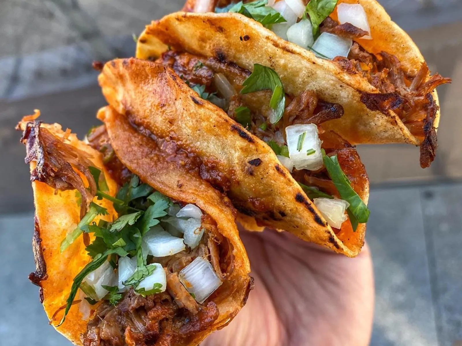 The L.A. TACO Guide to Eating Drinking and Chilling in East Los