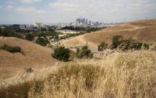 Primary image for Ascot Hills Park