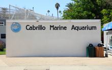 Primary image for Cabrillo Marine Aquarium