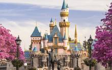 Primary image for Disneyland® Park