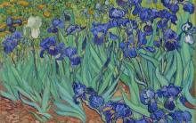 Vincent van Gogh, "Irises" (1889) | Photo: Getty Center